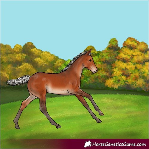 Horse Color:Silver Brown 