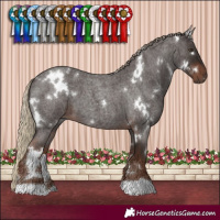 Horse Color:White Spotted Liver Red Roan