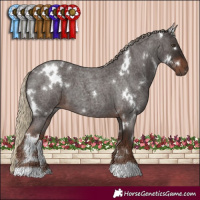 Horse Color:White Spotted Liver Red Roan 