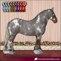 Horse Color:White Spotted Liver Red Roan 