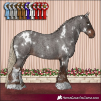 Horse Color:White Spotted Liver Red Roan 