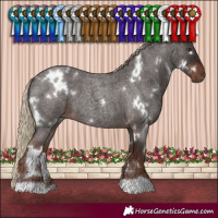 Horse Color:White Spotted Liver Red Roan 