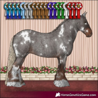 Horse Color:White Spotted Liver Red Roan