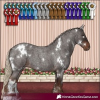 Horse Color:White Spotted Liver Red Roan 