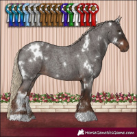 Horse Color:White Spotted Liver Red Roan