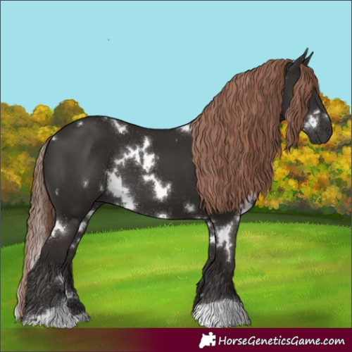 Horse Color:White Spotted Liver Chestnut 