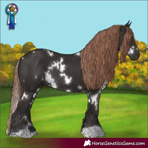Horse Color:White Spotted Liver Chestnut 