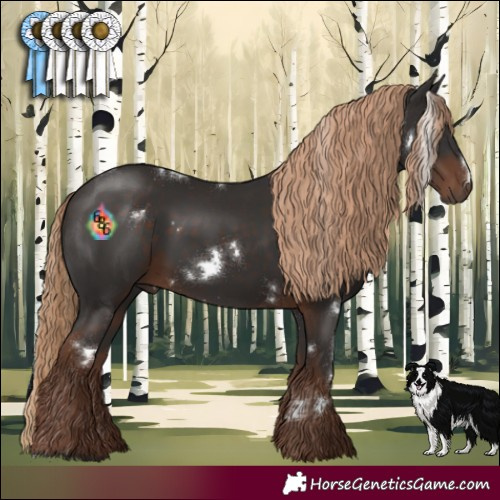 Horse Color:White Spotted Liver Chestnut