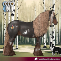 Horse Color:White Spotted Liver Chestnut 