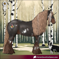 Horse Color:White Spotted Liver Chestnut 