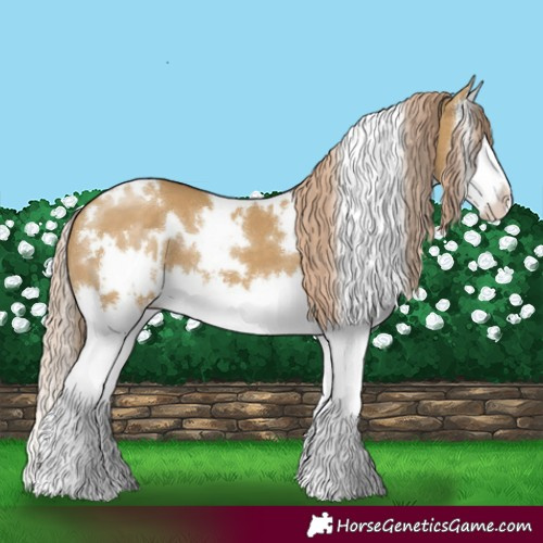 Horse Color:White Spotted Chocolate Palomino Dun Splash 