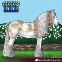 Horse Color:White Spotted Chocolate Palomino Dun Splash 