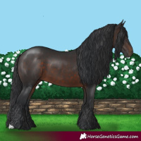 Horse Color:Brown 