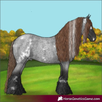 Horse Color:White Spotted Liver Red Roan 
