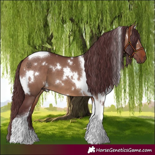 Horse Color:White Spotted Chocolate Brown Dun Tobiano 