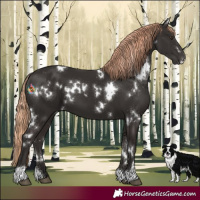 Horse Color:White Spotted Liver Chestnut 