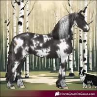 Horse Color:White Spotted Liver Chestnut 