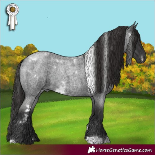 Horse Color:White Spotted Liver Red Roan 
