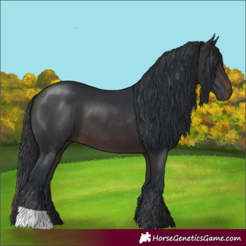 Horse Color:Brown 