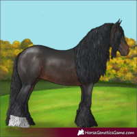 Horse Color:Brown 