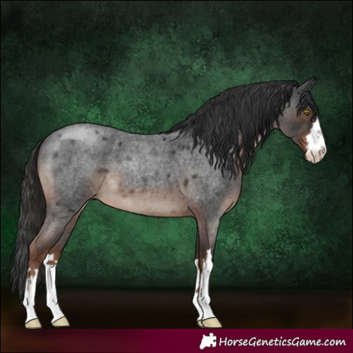 Horse Color:Liver Red Roan 