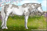 Horse Color:White Spotted Cremello Ice Splash Frame 
