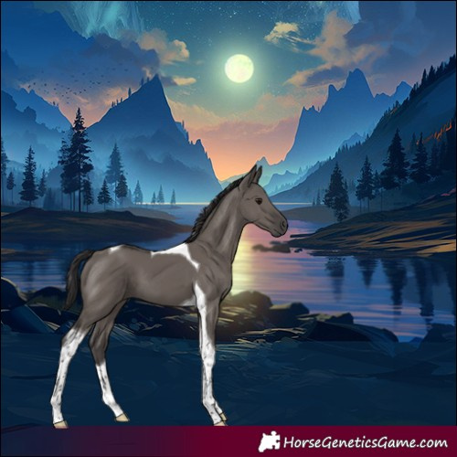 Horse Color:Smoky Grullo Tobiano 