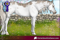 Horse Color:White Spotted Chocolate Palomino Ice Sabino Splash Frame