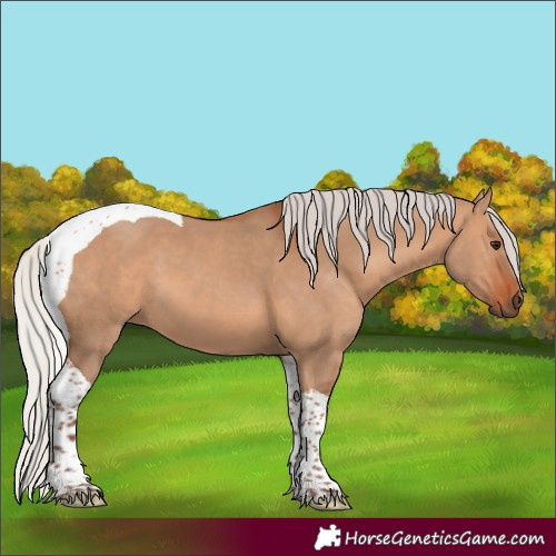 Horse Color:Silver Bay Dun Tobiano 