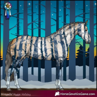 Horse Color:Gray Buckskin Dun 