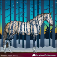 Horse Color:Gray Buckskin Dun 