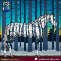 Horse Color:Gray Buckskin Dun 