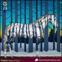 Horse Color:Gray Buckskin Dun 
