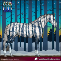 Horse Color:Gray Buckskin Dun