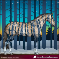 Horse Color:Gray Buckskin Dun