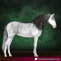 Horse Color:Liver Red Roan Splash 