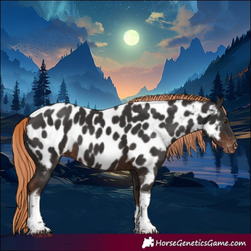Horse Color:Liver Chestnut Tobiano Appaloosa Rabicano