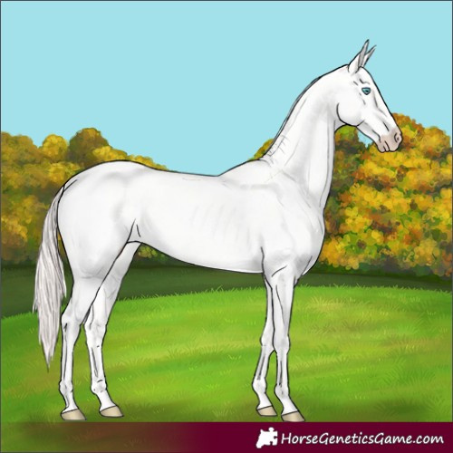 Horse Color:Perlino Dun 