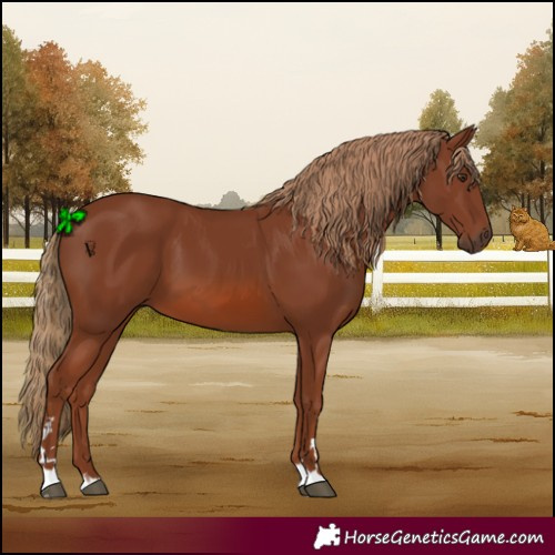 Horse Color:Chestnut 