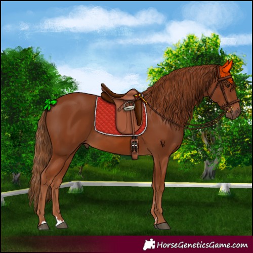 Horse Color:Chestnut 