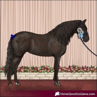 Horse Color:Liver Chestnut 