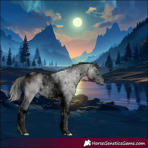 Horse Color:ERROR: UNKNOWN ANOMALY