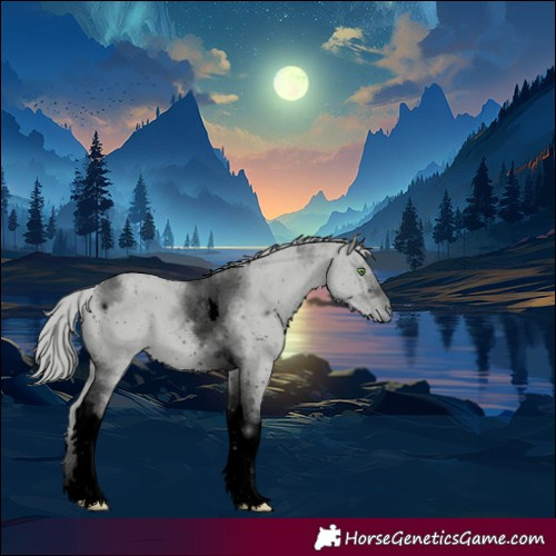 Horse Color:ERROR: UNKNOWN ANOMALY