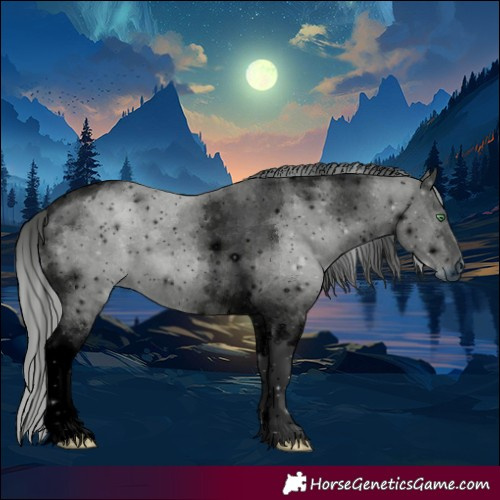 Horse Color:ERROR: UNKNOWN ANOMALY