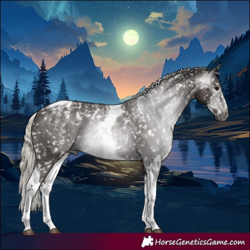 Horse Color:Powder White Gray Silver Black Tobiano Appaloosa 