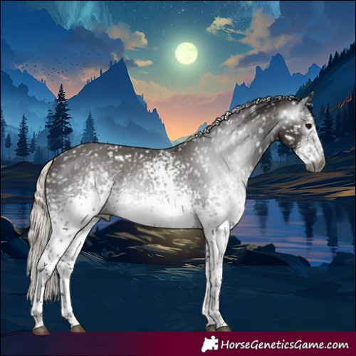 Horse Color:Gray White Spotted Silver Black Tobiano Appaloosa 