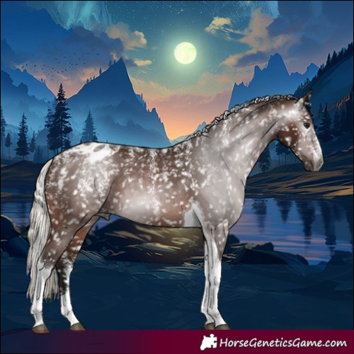 Horse Color:Powder White Gray Silver Bay Tobiano Appaloosa 