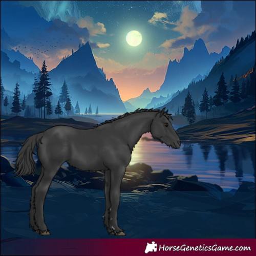 Horse Color:Black 