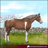 Horse Color:Gray Silver Black Pearl Tobiano 