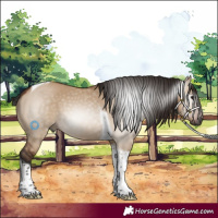 Horse Color:Gray Bay Dun Tobiano